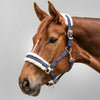 Halfter Exclusive in Nachtblau/Beige | Pferd, Geschenk