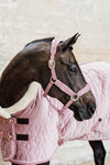 Kentucky Halfter mit Gravur | Velvet Halfter Old Rose | Kentucky Horsewear