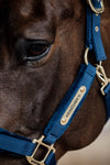 Kentucky Halfter mit Gravur | Velvet Halfter Navy | Kentucky Horsewear