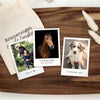 Fotomagnet mit deinem Bild | Design: "Polaroid" | 54 x 78 mm | für den Sattelschank oder Kühlschrank | Pferd & Hund