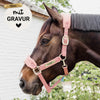 Kentucky Halfter mit Gravur | Teddy Fleece Halfter Old Rose | Kentucky Horsewear