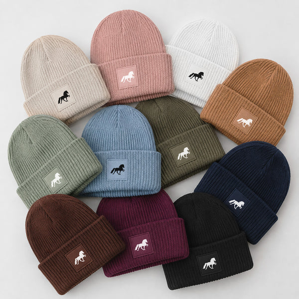 Beanie Mütze Tölter Islandpferd |Isländer, Take it Isi, Geschenk, Verschenken