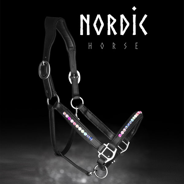 Lederhalfter mit Regenbogen-Steinen | Farbe: Schwarz | Nordic Horse | Islandpferd
